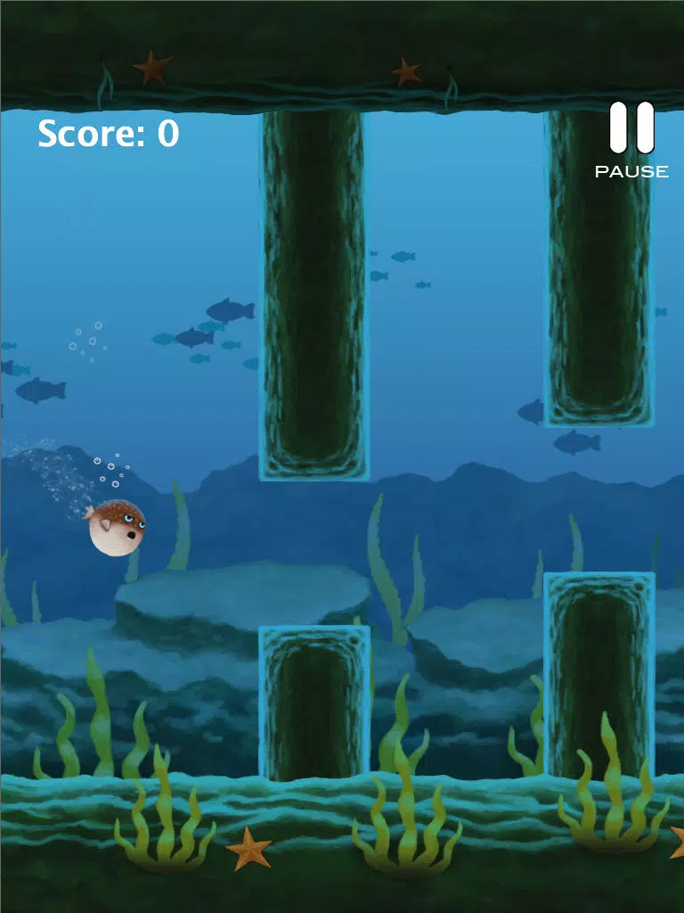 Ảnh chụp màn hình của Puffy Blowfish iPad 
