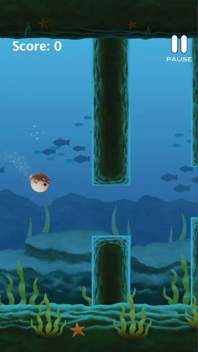 Ảnh chụp màn hình của Puffy Blowfish