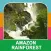 Amazon Rainforest