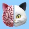 Brainy Cat: Tricky Riddles