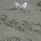SnowbirdShores