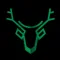 Trailcam Ace
