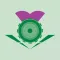 Thistle Card