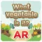 What Vegetable is it AR