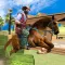 West Cowboy Survival Challenge