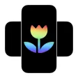 Horizontal & Vertical Camera
