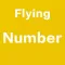 Flying Number