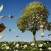 How To Become A Wealth Magnet-Success Recipe Guide
