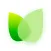 BotaniQ - Plant Identifier