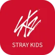 Stray Kids Light Stick