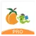 杏林学堂Pro