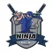 Ninja Trading