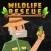 Wildlife Rescue