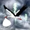 Burden Stork