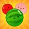 Watermelon Fruit Drop