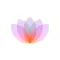 Motivation Color Widget & Calm