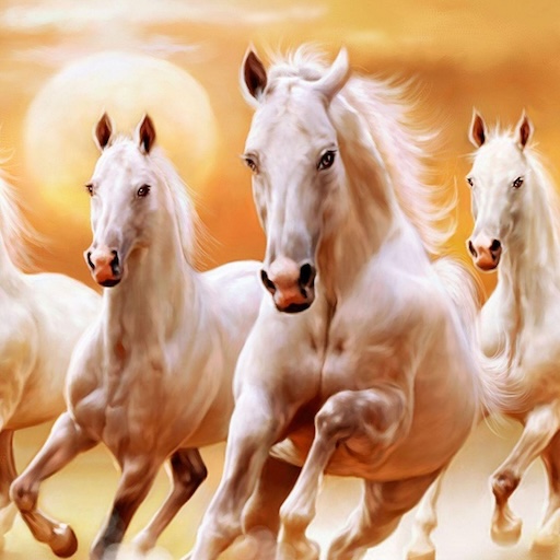 Horse Wallpaper HD Horse Wallpaper HD