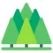 Tranquil Forest