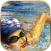 Swim Race Craft