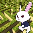 Rabbit explore the 3D maze!!