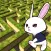 Rabbit explore the 3D maze!!