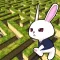 Rabbit explore the 3D maze!!