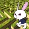 Rabbit explore the 3D maze!!