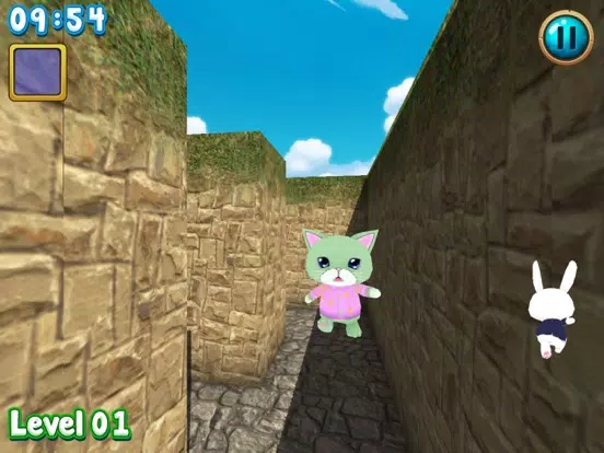 Rabbit explore the 3D maze!! iPad  Screenshots