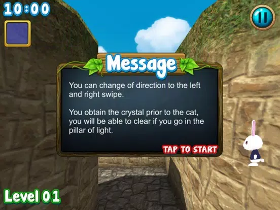 Rabbit explore the 3D maze!! iPad  Screenshots