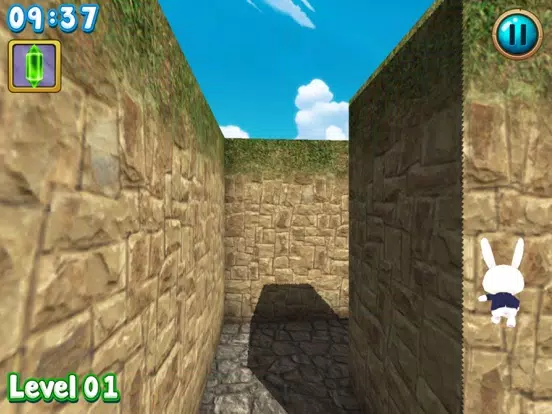 Rabbit explore the 3D maze!! iPad  Screenshots