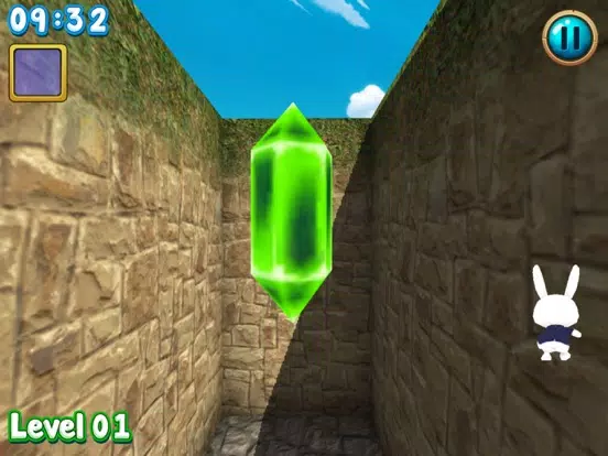 Rabbit explore the 3D maze!! iPad  Screenshots