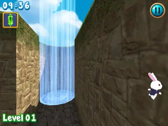 Rabbit explore the 3D maze!! iPad  Screenshots