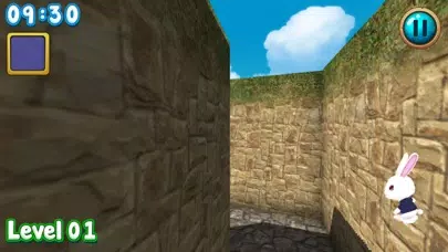Rabbit explore the 3D maze!! Screenshots