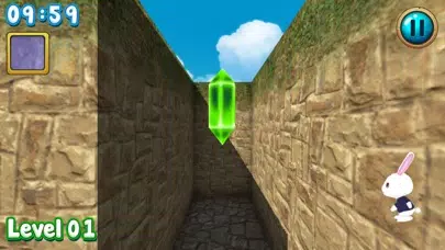 Rabbit explore the 3D maze!! Screenshots