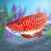 My Asian arowana Aquarium