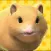 Play with your hamster