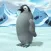 Penguins raised from chicks