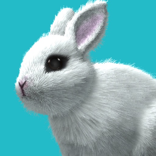My Rabbit Room My Rabbit Room