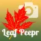 Foliage Leaf Peepr