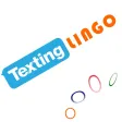 Texting Lingo