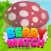 Boom Berry Match