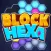 Hexa Block Master Puzzle