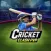 Cricket Clash PvP