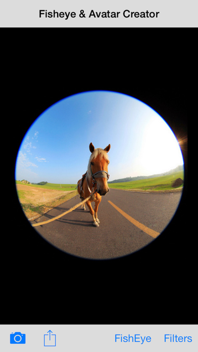 Fish Eye & Avatar Creator Screenshots
