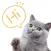 Pet Translator-Cat Simulator