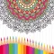 Color Number - Paint by Number