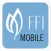 Family Firm Institute, Inc.