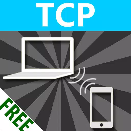 TCP test tool TCP test tool