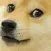 dogeface