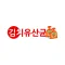 김치유산균
